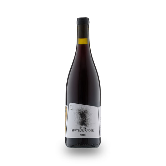 Spätburgunder | BELLEN | 2020