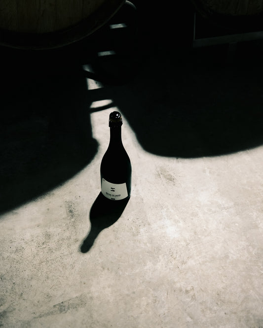 Blanc de Noir | brut nature | 2019